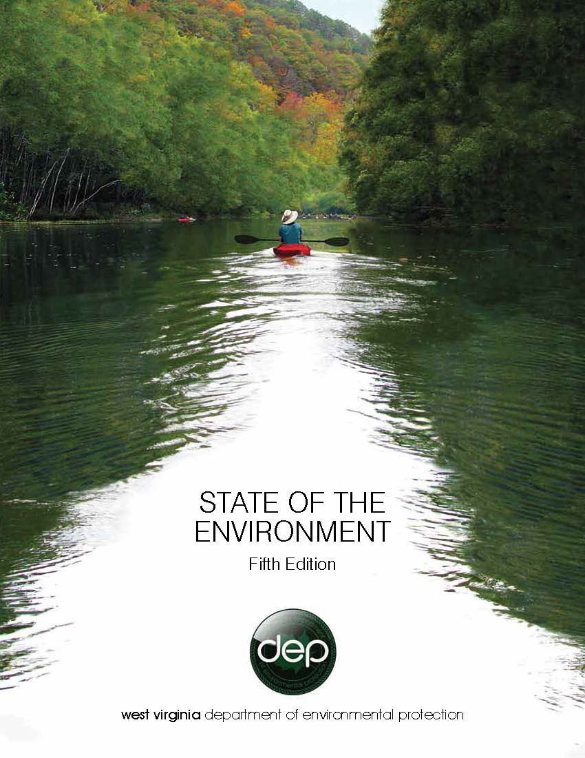 State of the Environment report